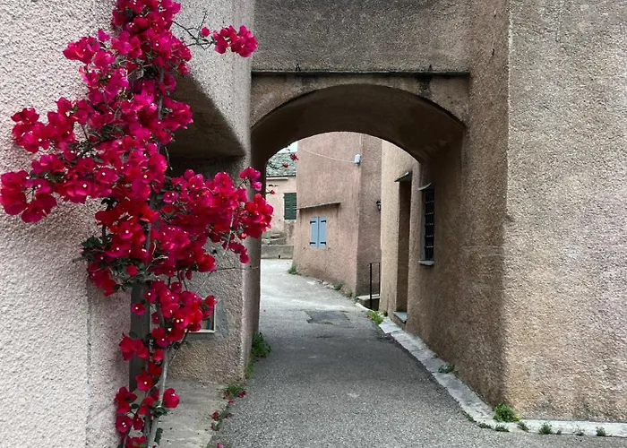 La Charmante **** Maison Cap Corse, * Tomino