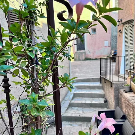 La Charmante **** Maison Cap Corse, *