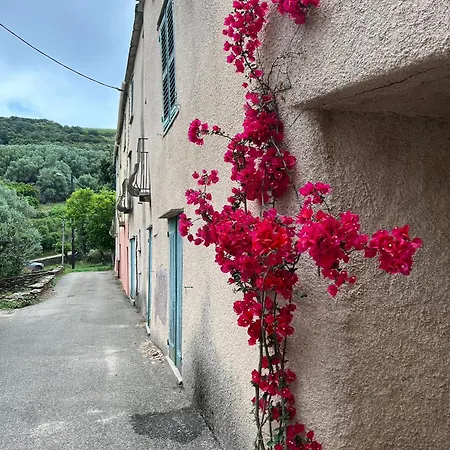 La Charmante **** Maison Cap Corse, Lägenhet Tomino