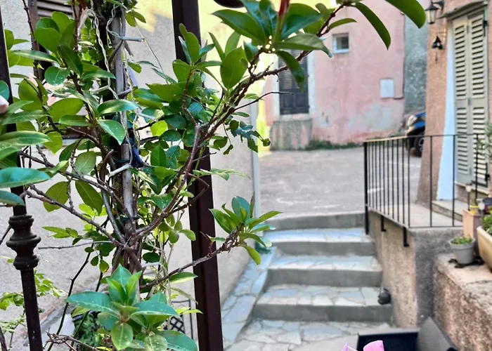 La Charmante **** Maison Cap Corse, *