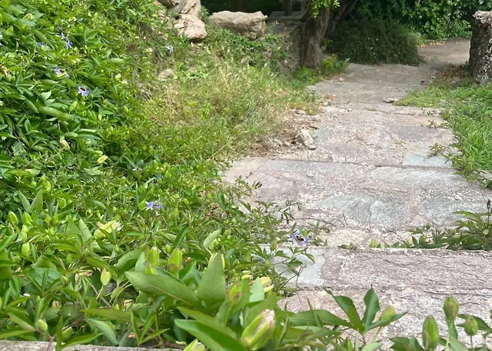 La Charmante **** Maison Cap Corse, Appartamento *