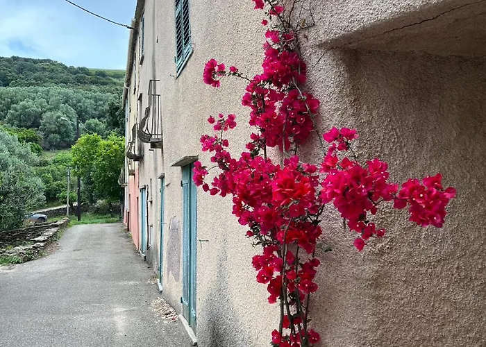 La Charmante **** Maison Cap Corse, Apartment Tomino